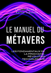 Le manuel du métavers