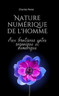 La nature numérique de l'homme